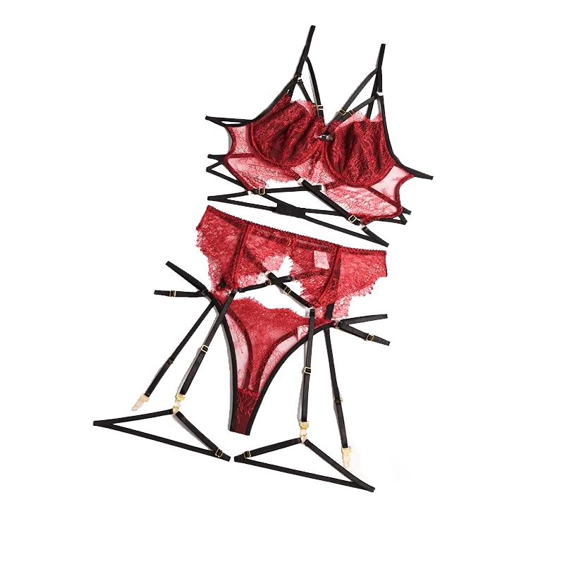 Sheer Bra Lace - Yeni dantel seksi iç çamaşırı şeffaf